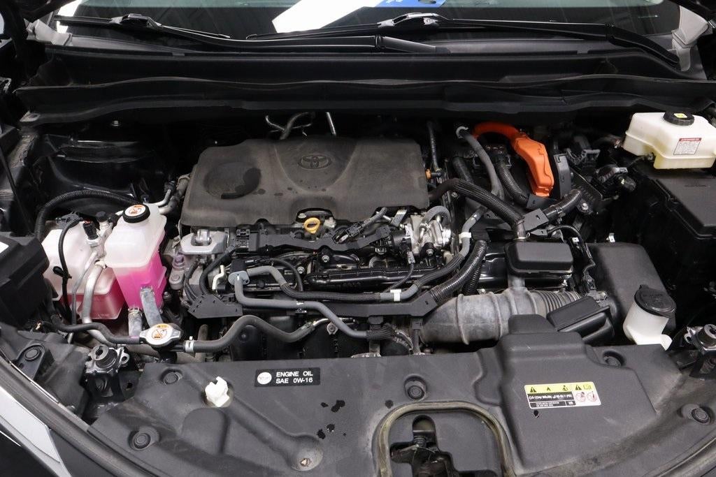 2022 Toyota Sienna XLE AWD 7-Passenger (Natl)