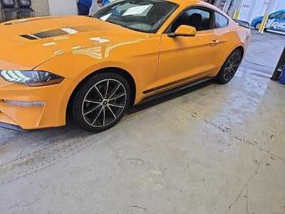 2022 Ford Mustang EcoBoost