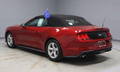 2021 Ford Mustang EcoBoost