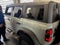 2024 Ford Bronco Everglades